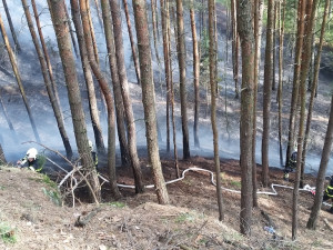 FOTO, VIDEO: Deset jednotek hasičů i dron. V Tuhani hořel les