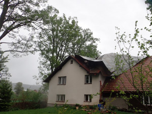 Spadané stromy v Křižanech uvěznily v autě ženu s dítětem. Hasiči měli přes stovku výjezdů