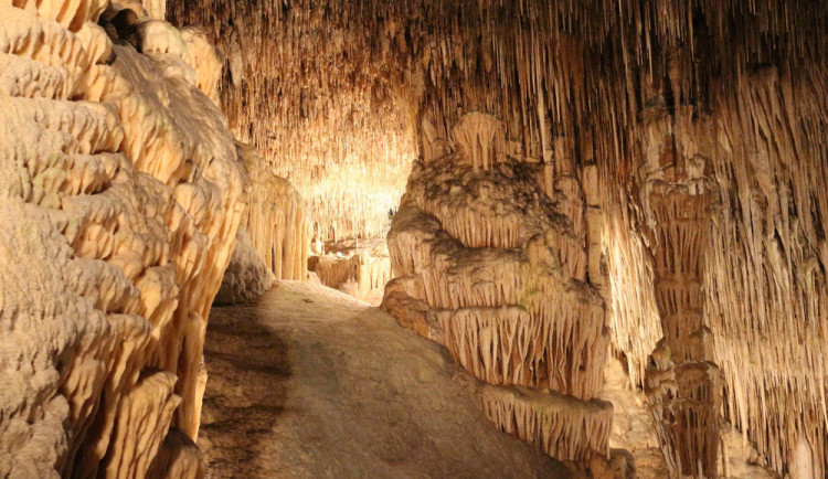 Bozkovské i další jeskyně se otvírají. Počet turistů na prohlídce bude omezen