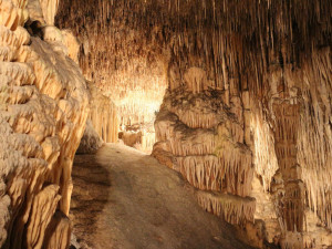 Bozkovské i další jeskyně se otvírají. Počet turistů na prohlídce bude omezen