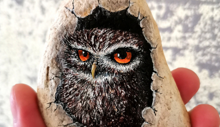 Nový fenomén, malování na kameny. Spojuje rodiny a cizí potěší, říká grafický designér Ondřej Musil