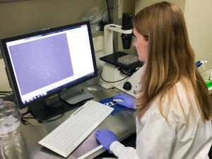 Studenti TULky pomáhají v USA při vývoji umělé ledviny. Stáž jim překazil koronavirus
