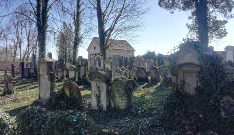 Staré budovy jí učarovaly. Anna Strnadová se tak pustila do projektu Příběhy mezi domy