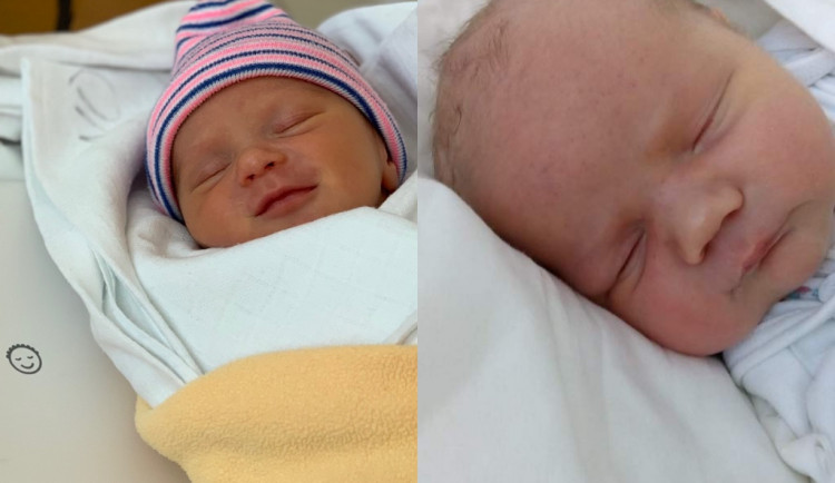 Hlasujte pro drbňátko za měsíc květen