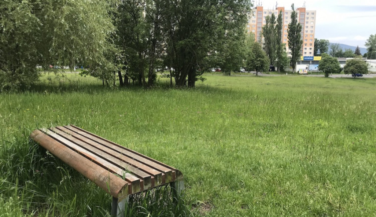 Na louce s cvičištěm pro psy u Hokejky vznikne biotop.