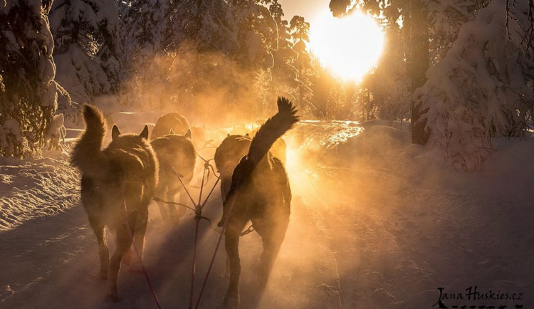 26240452_10215494578104177_1174932349047046582_o