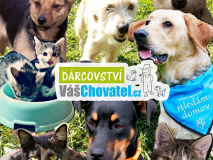 VášChovatel: Každý, kdo u nás nakupuje, podporuje zároveň útulky. Snažíme se, aby naše podnikání mělo přesah