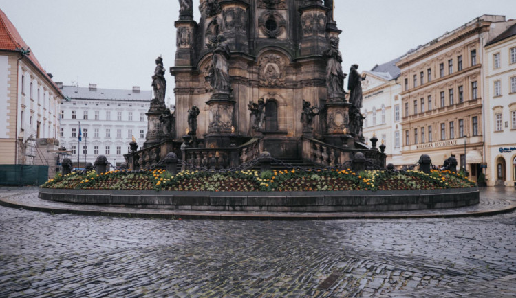 POLITICKÁ KORIDA: Patří květináče na Sloup Nejsvětější Trojice? Zeptali jsme se olomouckých zastupitelů