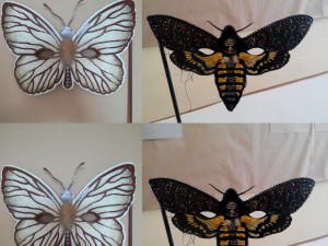 Nikola Nemergutová z Hrádku vytvořila škrabošky, které zazářily v pohádce Hodinářův učeň