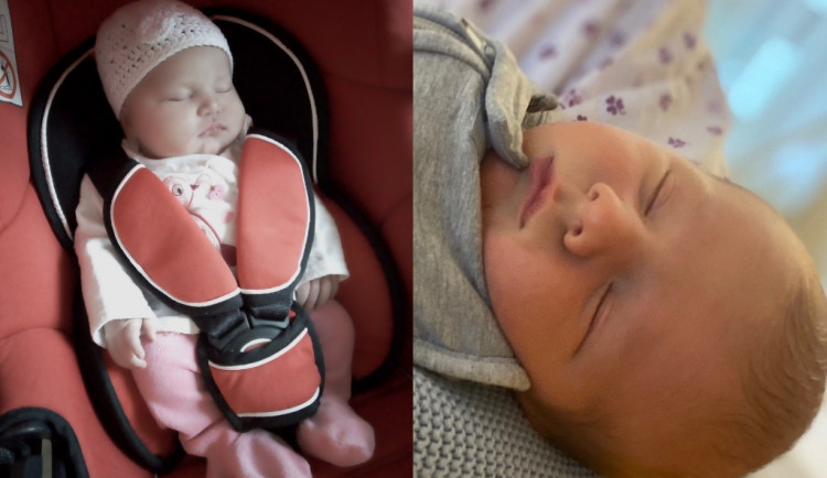 Hlasujte pro drbňátko za měsíc červen