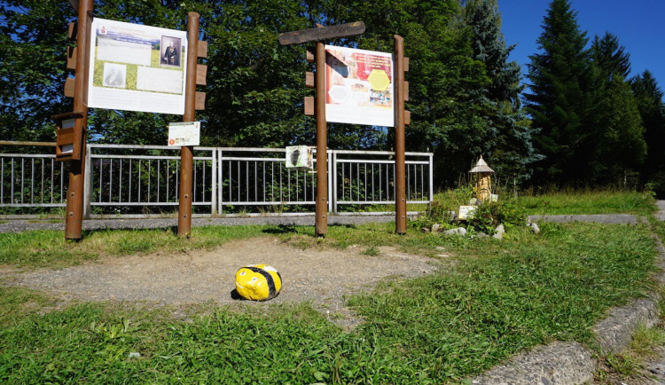 Harrachov hledá novou trasu pro včelí stezku, letos ji neotevře