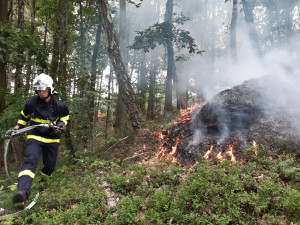 Hasiči včera zasahovali u požáru lesa na Českolipsku. Zlikvidovali ho do 90 minut