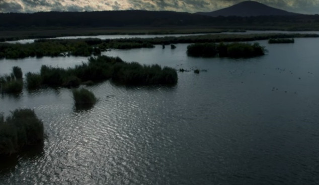 Snímek obrazovky (10)