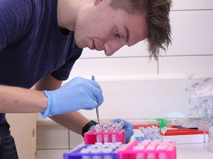 TULka spouští nový obor Bioinženýrství. Zaměřuje se na zdravotnické prostředky a materiály