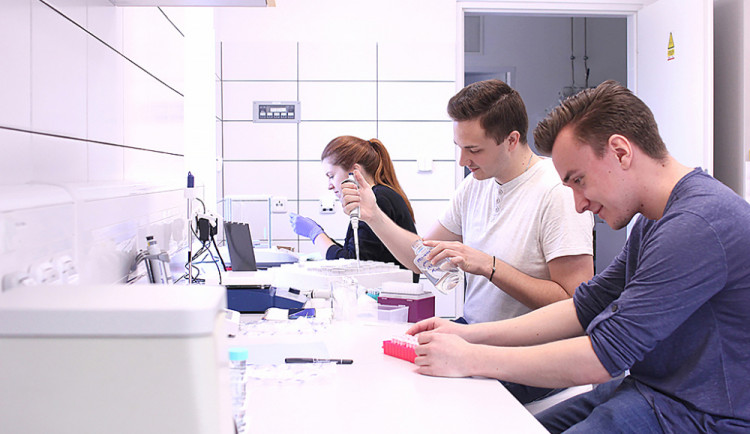 TULka spouští nový obor Bioinženýrství. Zaměřuje se na zdravotnické prostředky a materiály