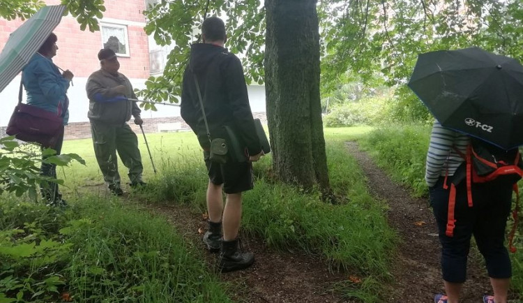 Zeleň zakrývala lidem okna. Sepsali petici a Jablonec jim nyní vyhoví