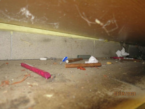 Kvůli špatné hygieně museli inspektoři zavřít prodejnu například v Brodě, České Lípě i Liberci