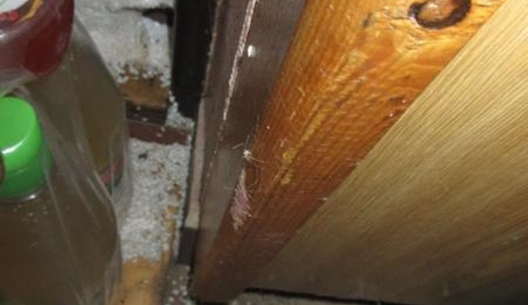 Kvůli špatné hygieně museli inspektoři zavřít prodejnu například v Brodě, České Lípě i Liberci