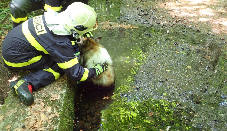 116632429_3645686765458748_1266140663452014420_o