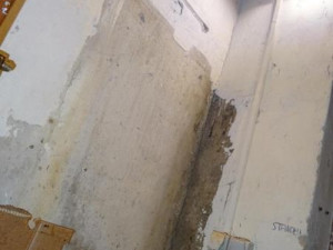 Inspekce zakázala v libereckých potravinách vyrábět jarní závitky