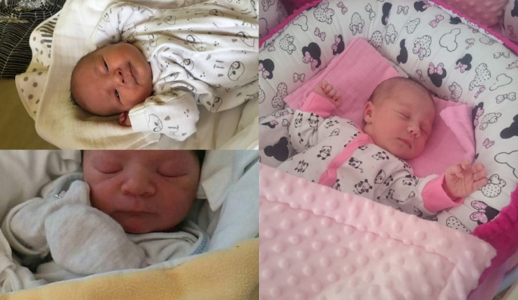 Hlasujte pro drbňátko za měsíc červenec