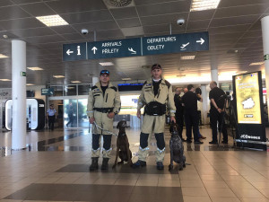 KYNOLOGOVÉ V BEJRÚTU: Na sbalení věcí měli jen pár hodin. Psi museli po horké zemi chodit v botičkách