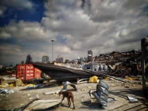 KYNOLOGOVÉ V BEJRÚTU: Na sbalení věcí měli jen pár hodin. Psi museli po horké zemi chodit v botičkách