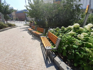 Ze Soukenného náměstí zmizela skoro polovina laviček. Město je dá na jiná místa