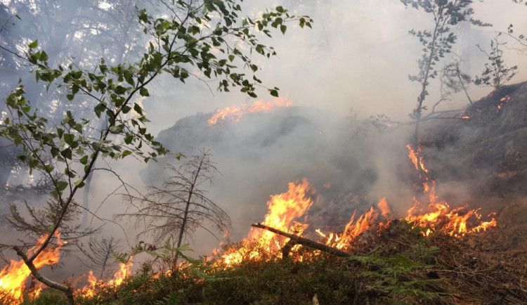 U požáru ve skalnatém terénu v Ralsku zasahovalo jedenáct jednotek hasičů