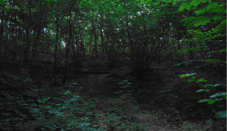 Herce nahradili bezdomovci. Kdysi slavné lesní divadlo v Krči chátrá