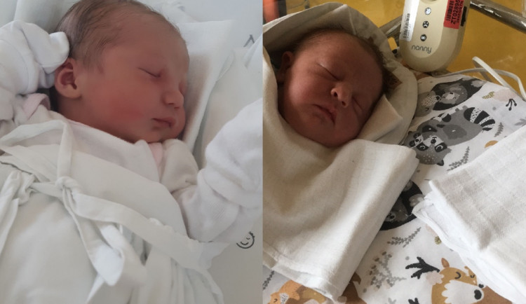 Hlasujte pro drbňátko za měsíc srpen