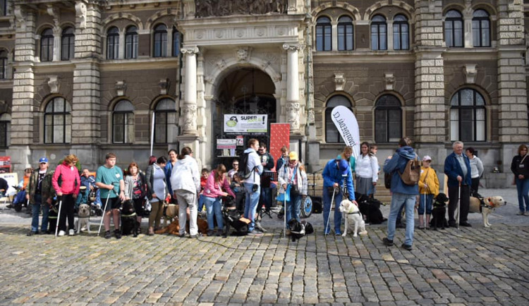 V Liberci při soutěži vodící psi prováděli své pány městem