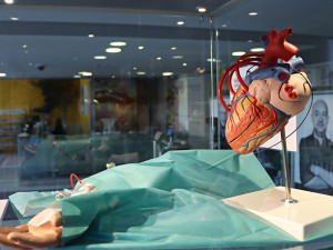 Robert Vano vystavuje na Krajském úřadě putovní výstavu Srdeční záležitosti