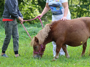 Nový terapeut Mášenka