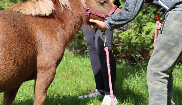 Nový terapeut Mášenka
