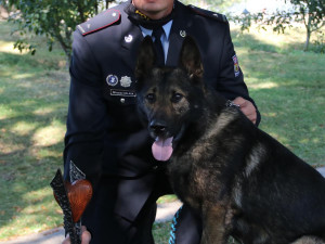 Za záchranu lidského života obdržel psovod ocenění Statečné psí srdce