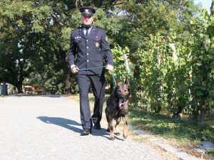 Za záchranu lidského života obdržel psovod ocenění Statečné psí srdce