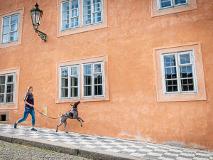 KAROLÍNA CIPRO: Život ve zdravotnictví vyměnila za běhání se psy