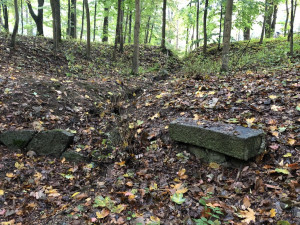 Radnice chce revitalizovat lesopark ve Fibichově ulici. Kdy, to zatím jasné není