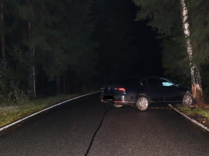 Řidiči vběhly do cesty srnky, strhl řízení a skončil ve stromě