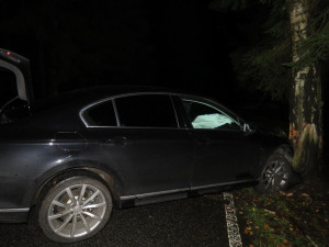 Řidiči vběhly do cesty srnky, strhl řízení a skončil ve stromě