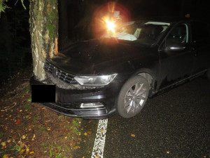 Řidiči vběhly do cesty srnky, strhl řízení a skončil ve stromě