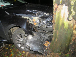 Řidiči vběhly do cesty srnky, strhl řízení a skončil ve stromě