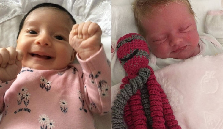 Hlasujte pro drbňátko za měsíc říjen