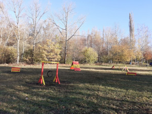 Někdo se vyřádil na psím agility u Hokejky, z překážek zbyly hromádky dřeva