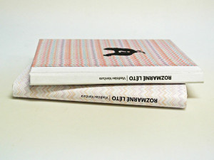 Design a fotografie. Na atraktivní obory s nejmodernějšími programy láká liberecká Umělka