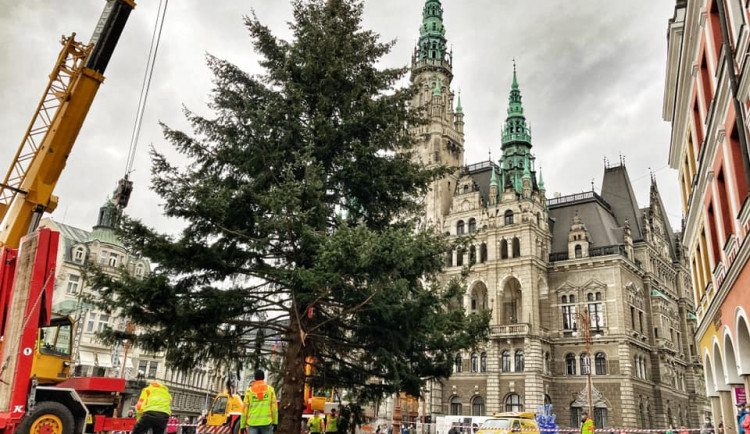Na náměstí před radnicí už je vánoční strom. Rozsvítí se příští neděli