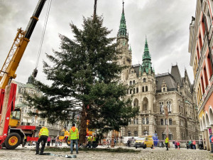Na náměstí před radnicí už je vánoční strom. Rozsvítí se příští neděli