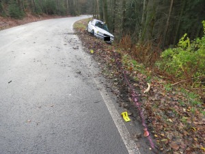 V zatáčce dostal smyk a skončil ve stromě