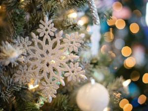 Opatření komplikují letošní Vánoční strom splněných přání